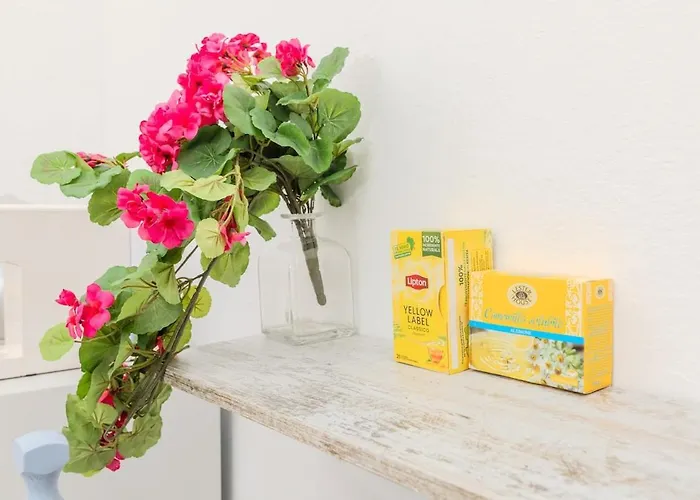 Apartment Downtown View - Ap Margherita - Olbia